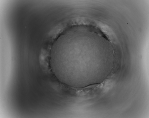 X0000096660192200802121138