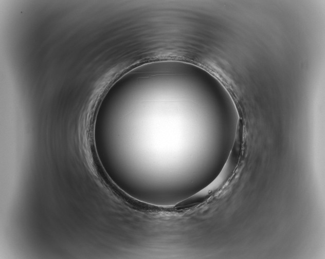 X0000096660193200802121138