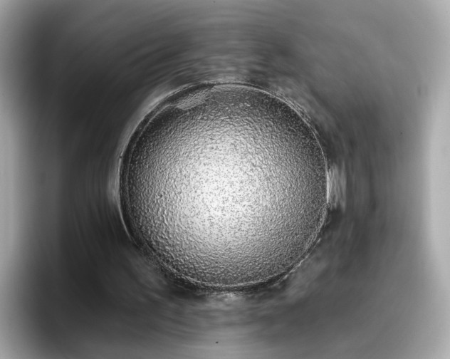 X0000096660195200802121137