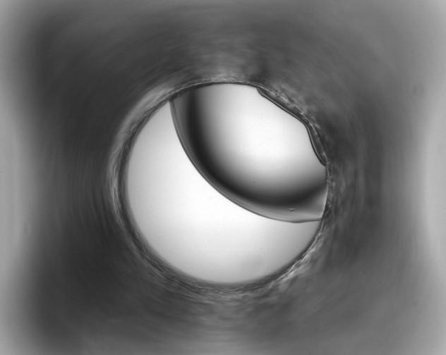 X0000096660197200802121137