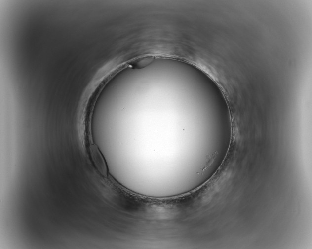 X0000096660199200802121137