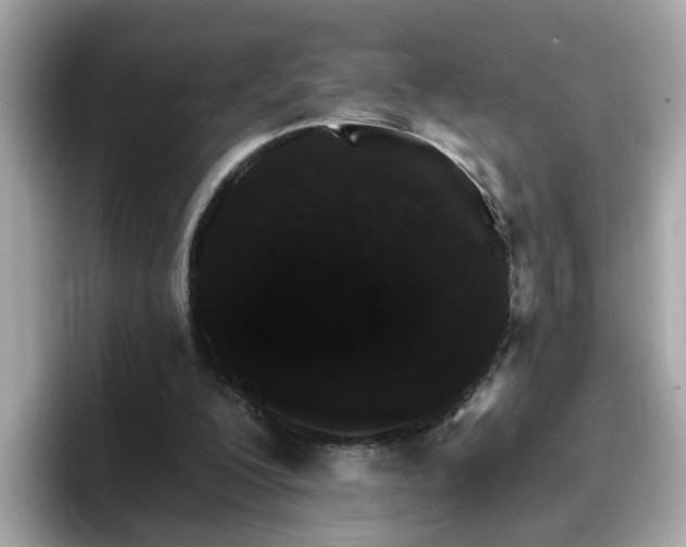 X0000096660200200802121137