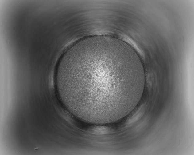 X0000096660203200802121137