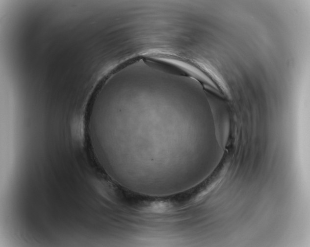 X0000096660204200802121137