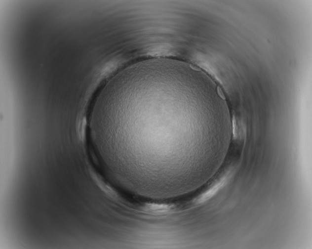 X0000096660205200802121137