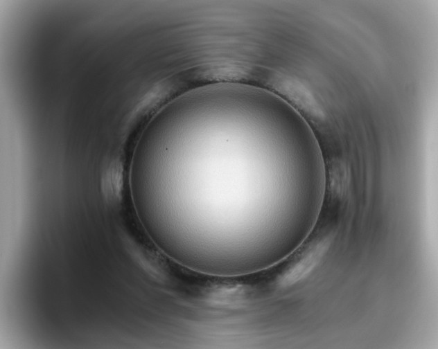 X0000096660206200802121137