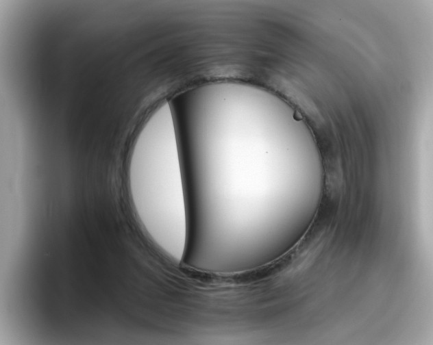 X0000096660207200802121137