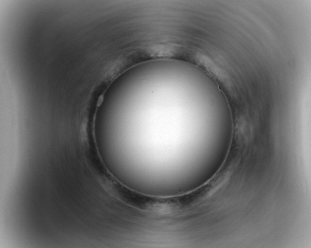 X0000096660209200802121137