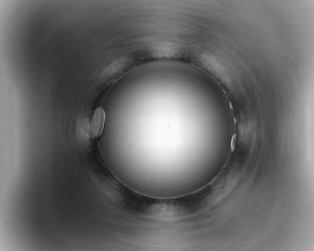 X0000096660211200802121137