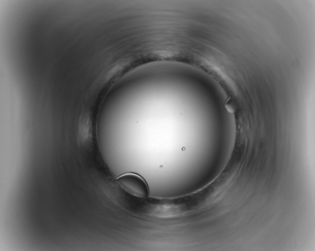 X0000096660212200802121137