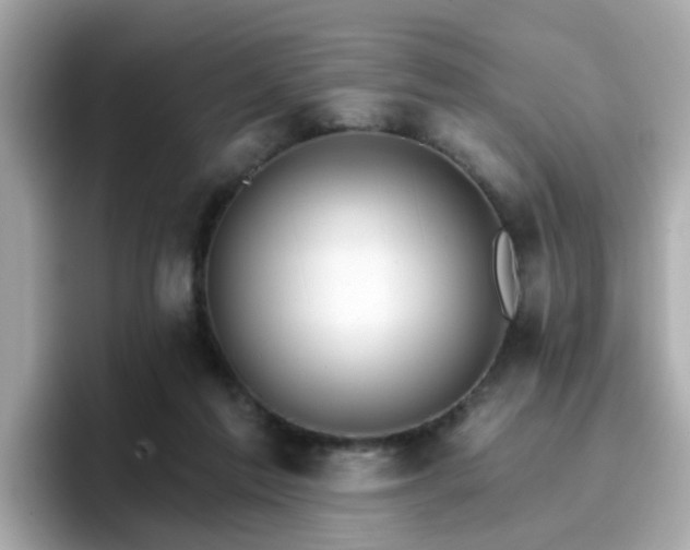 X0000096660213200802121137