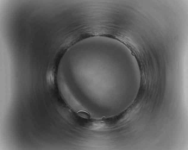 X0000096660214200802121137