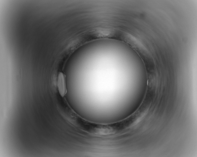 X0000096660215200802121137