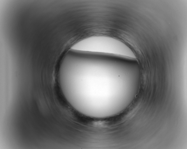 X0000096660216200802121137