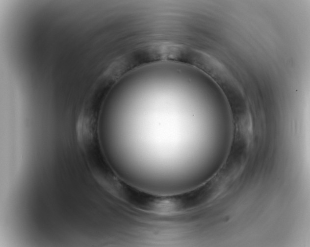 X0000096660218200802121137