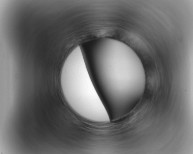 X0000096660219200802121137