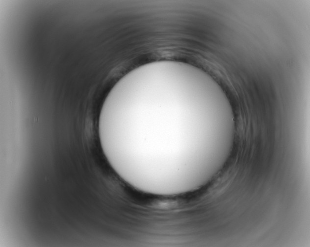 X0000096660220200802121137