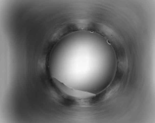 X0000096660221200802121137