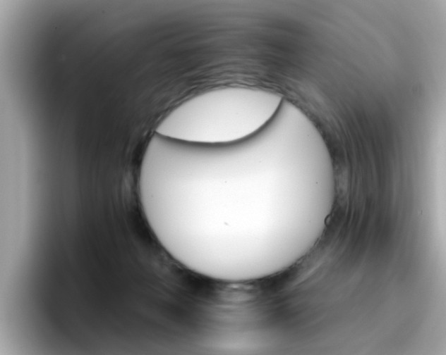 X0000096660222200802121137