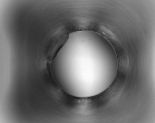 X0000096660225200802121137