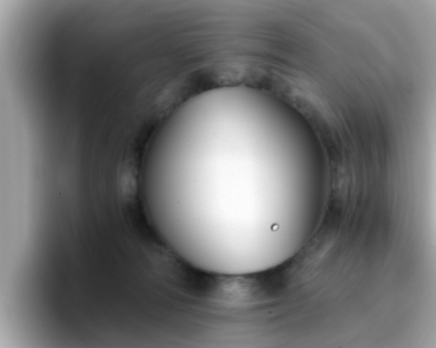 X0000096660226200802121137