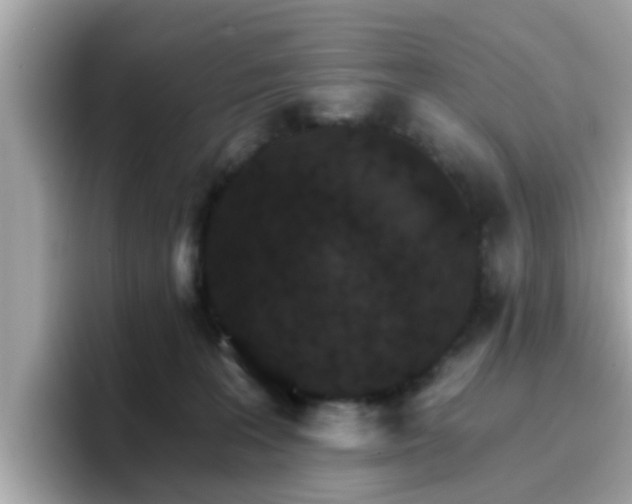 X0000096660227200802121137