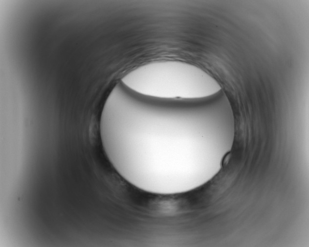 X0000096660228200802121137