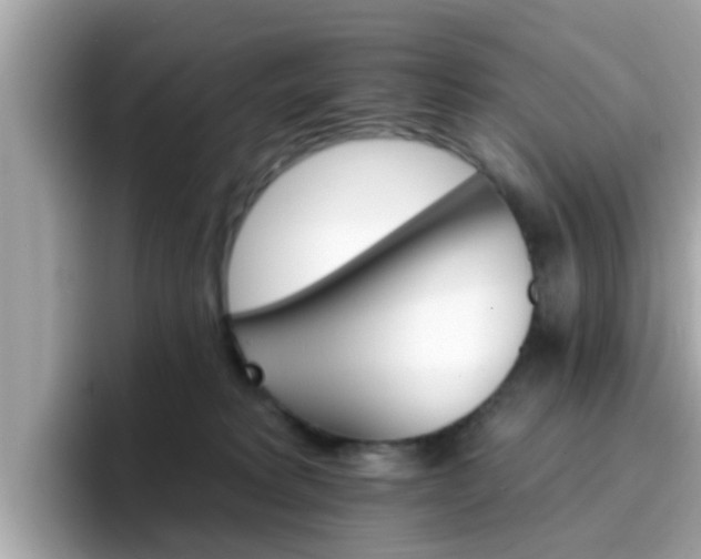 X0000096660229200802121137