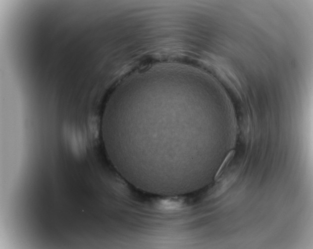 X0000096660232200802121137