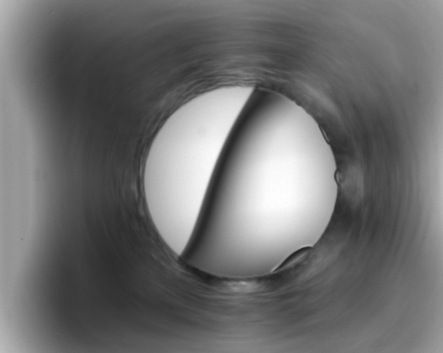 X0000096660233200802121137