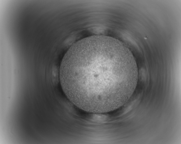 X0000096660234200802121137