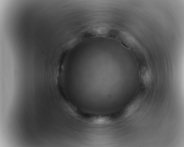 X0000096660235200802121137