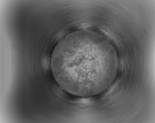 X0000096660236200802121137