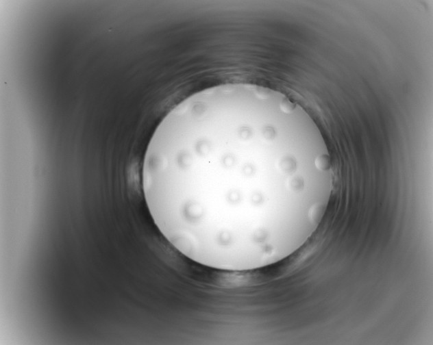 X0000096660238200802121137