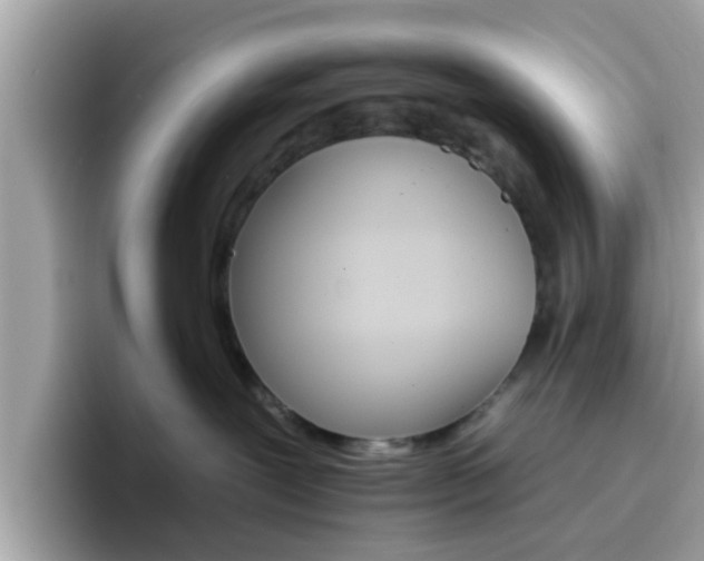 X0000096660239200802121137