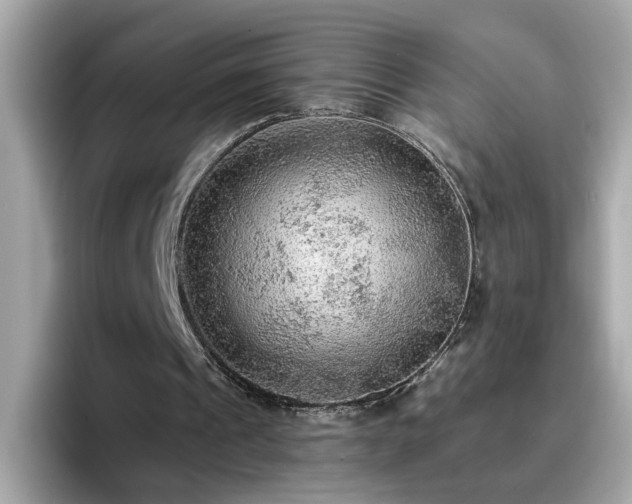 X0000096660241200802121136