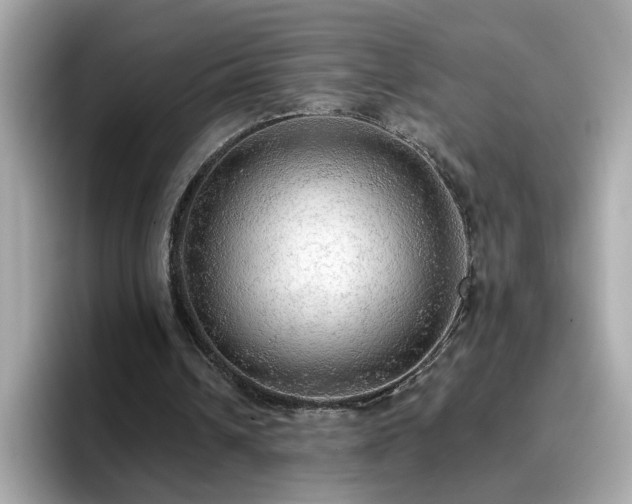 X0000096660242200802121136