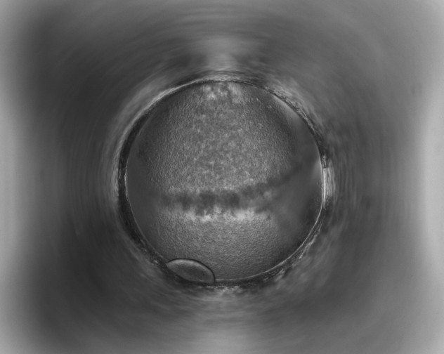 X0000096660243200802121136