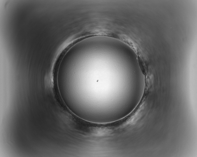 X0000096660246200802121136