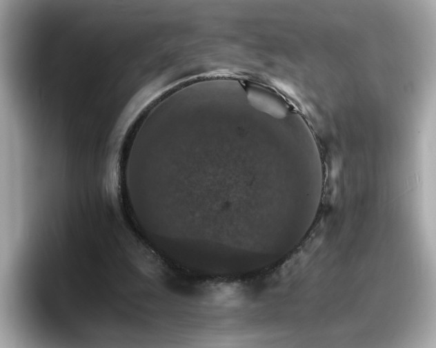 X0000096660247200802121136