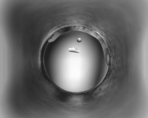 X0000096660248200802121136