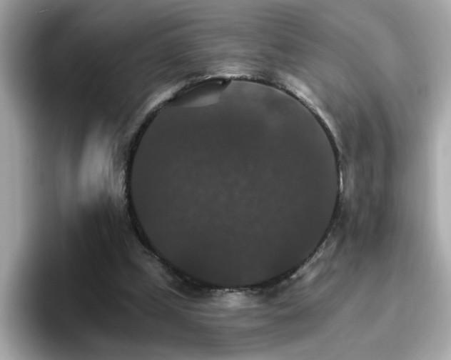 X0000096660249200802121136