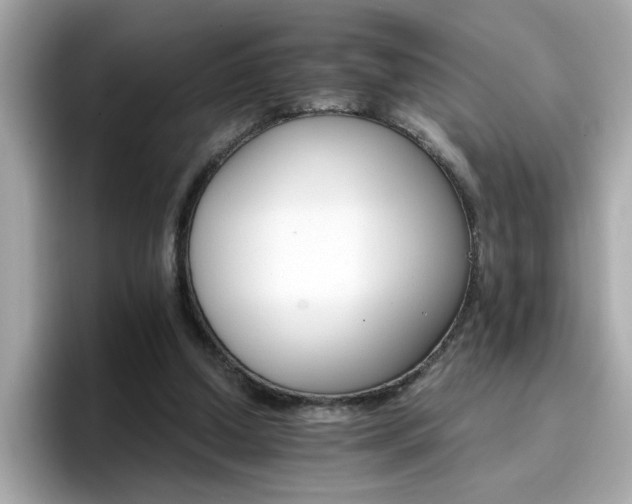 X0000096660250200802121136