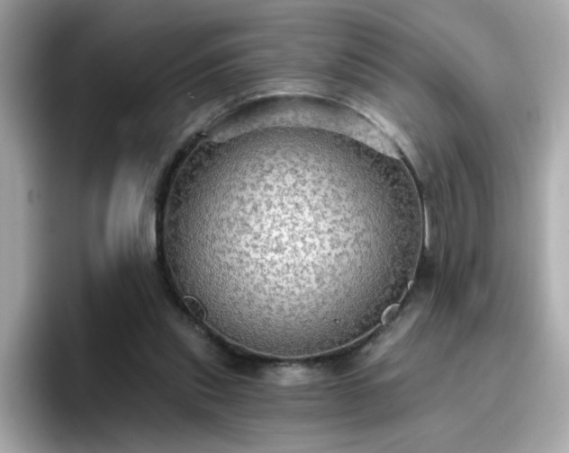 X0000096660253200802121136