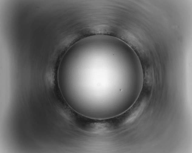 X0000096660255200802121136