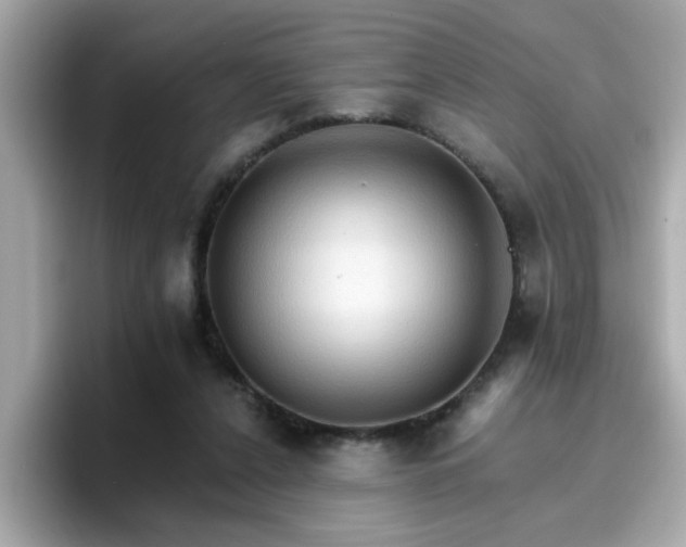 X0000096660256200802121136