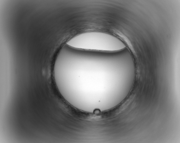 X0000096660257200802121136