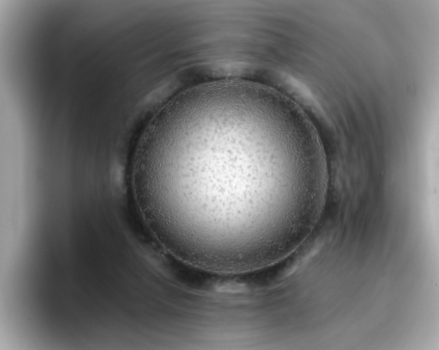 X0000096660258200802121136