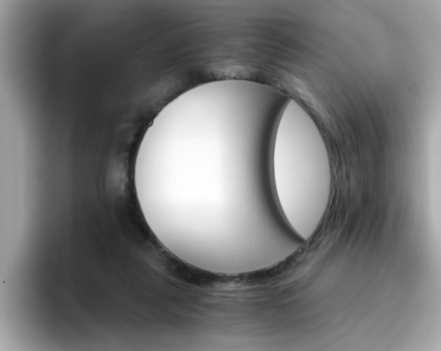 X0000096660259200802121136