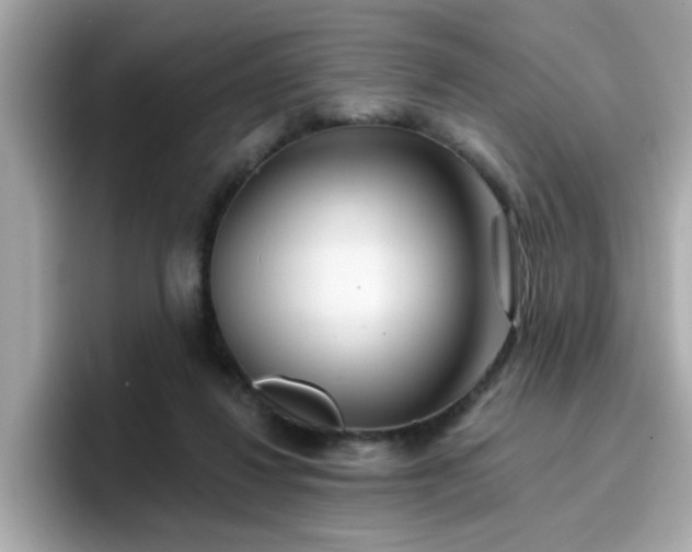 X0000096660260200802121137